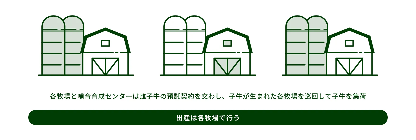 出産は各牧場で行う